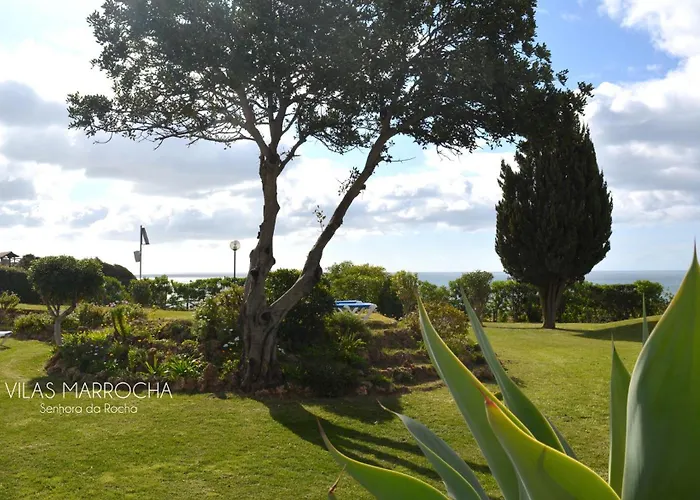 Apartament Family Tailor Made Flat In Vsr